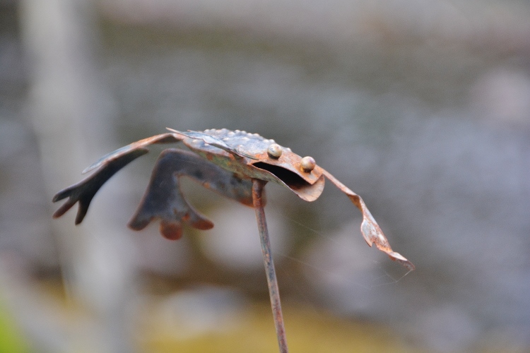 frog art